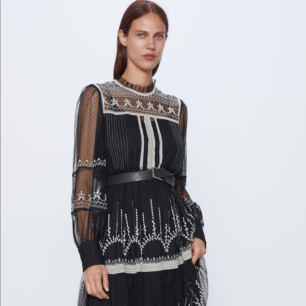 Zara embroidered tulle dress